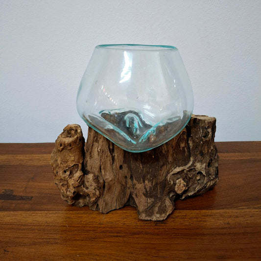 Ampolla in vetro su radice di mangrovia