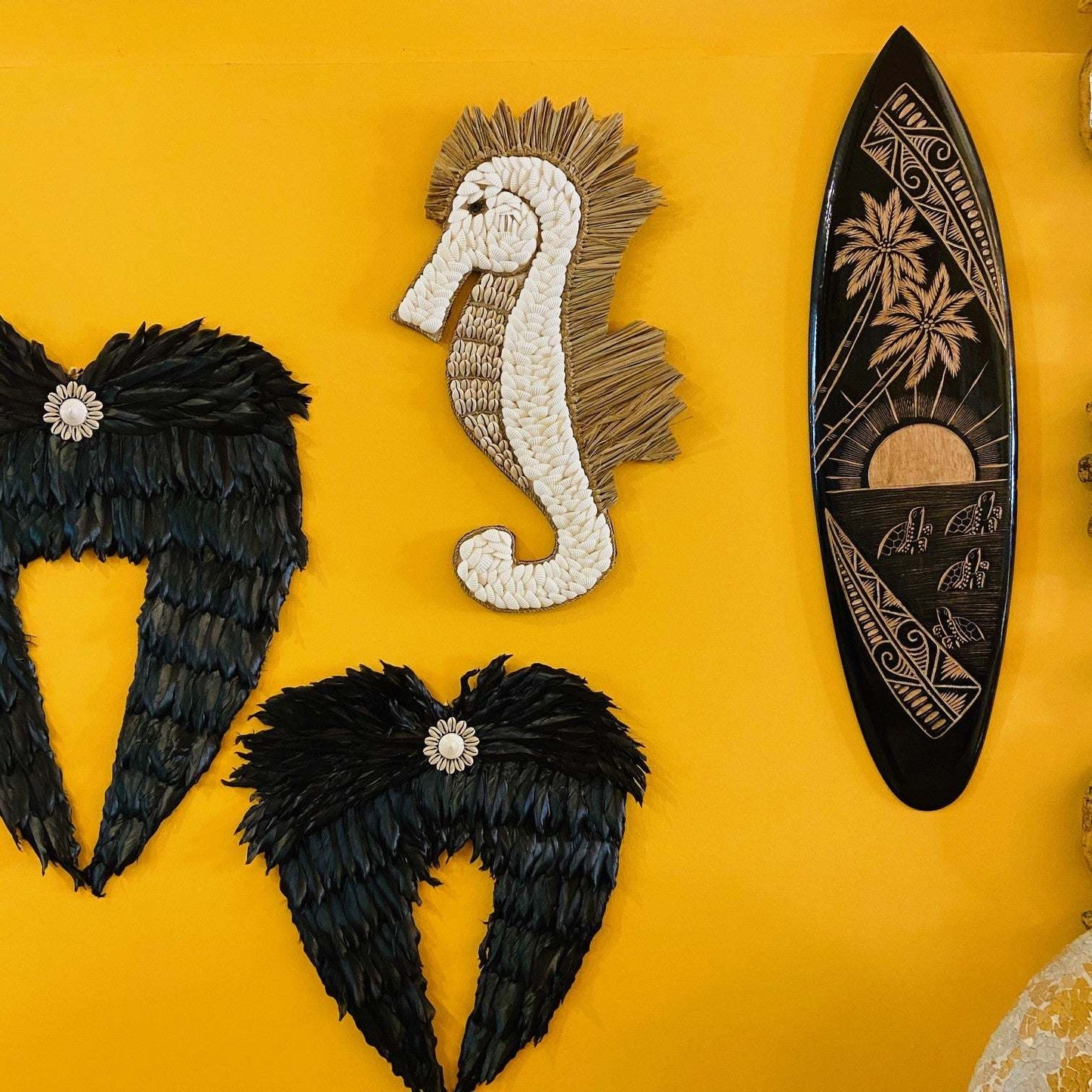Hippocampus Seahorse Sea Shells