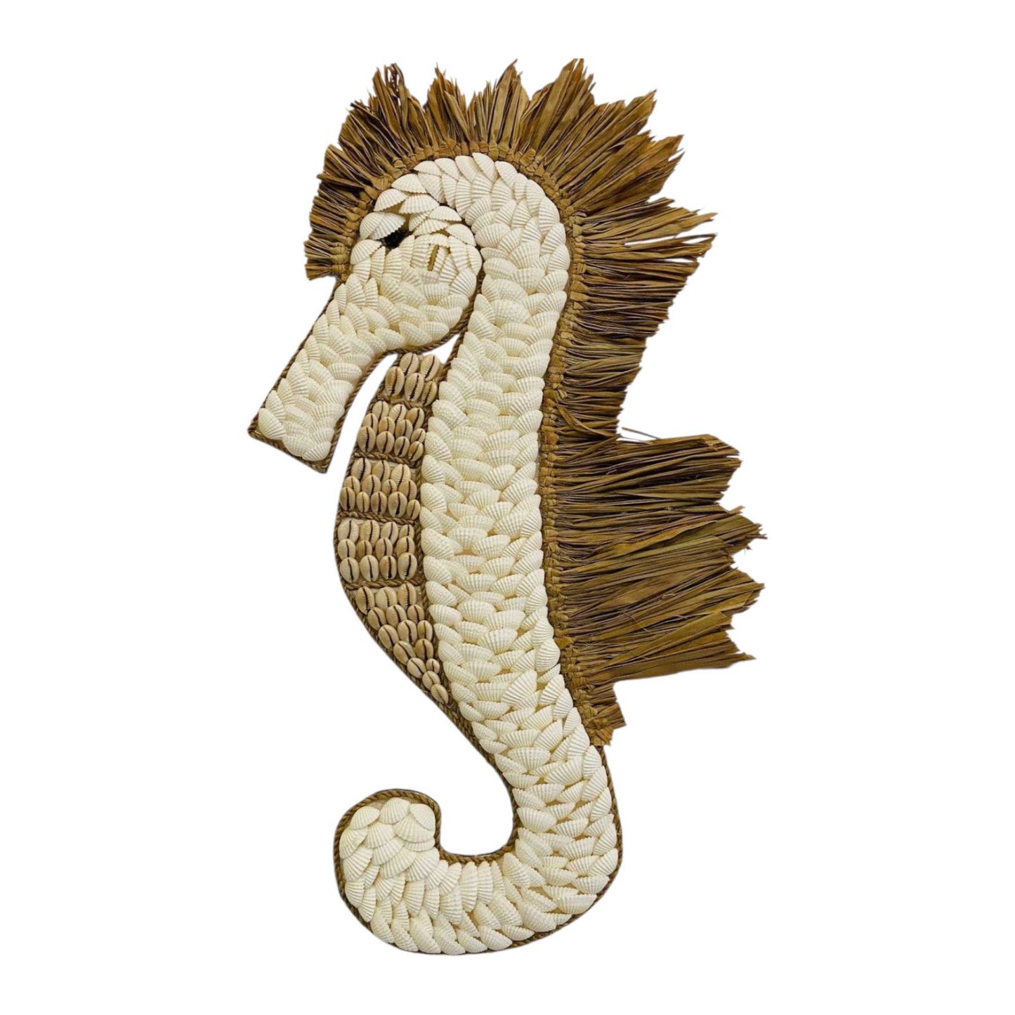 Hippocampus Seahorse Sea Shells