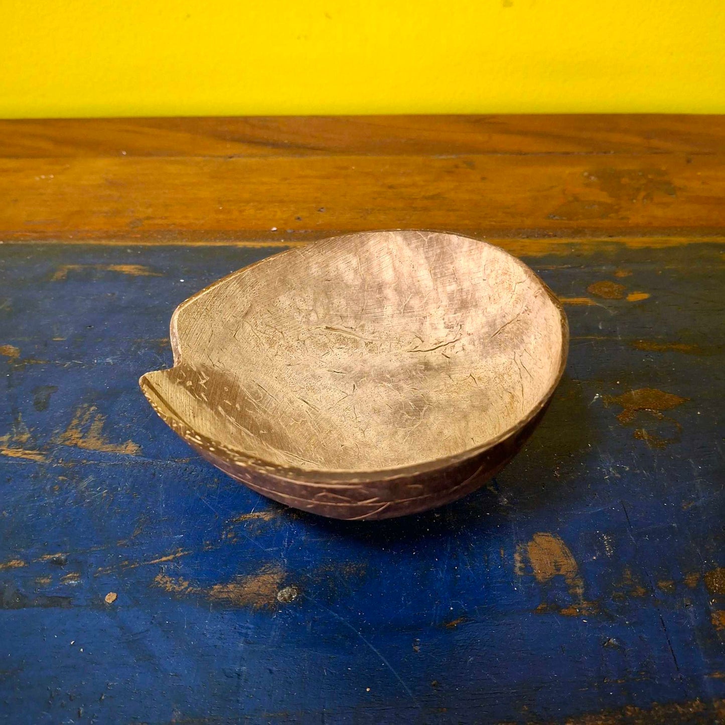 Posa cenere tartaruga in legno con coperchio in cocco