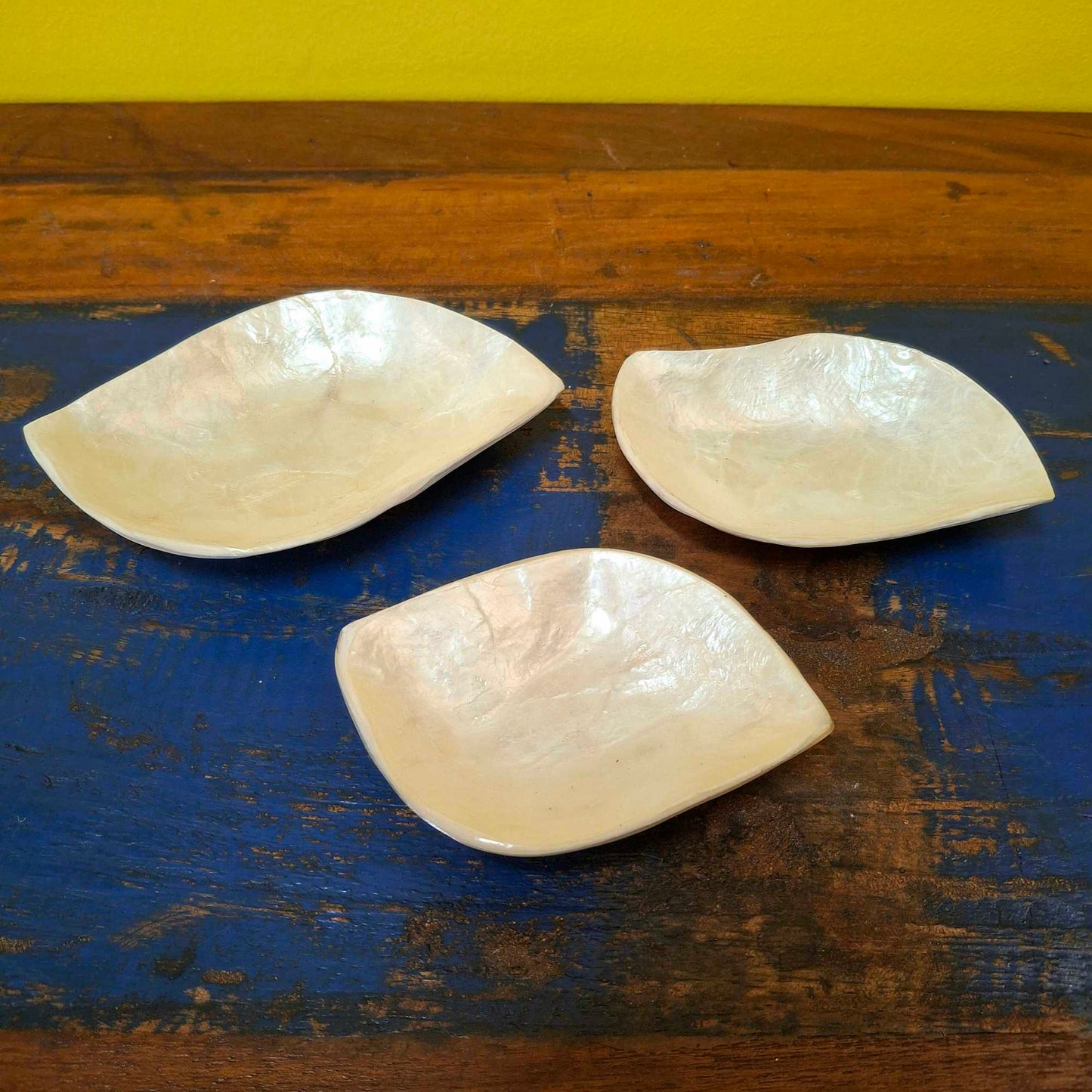 Ensemble d'assiettes en feuilles de nacre pour apéritifs