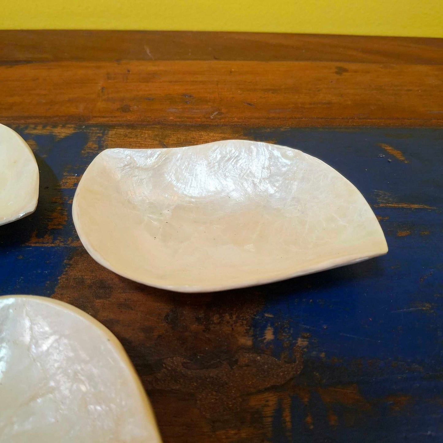 Ensemble d'assiettes en feuilles de nacre pour apéritifs
