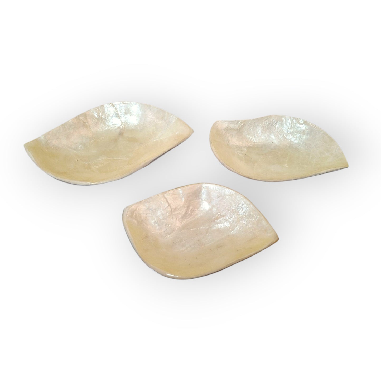 Ensemble d'assiettes en feuilles de nacre pour apéritifs