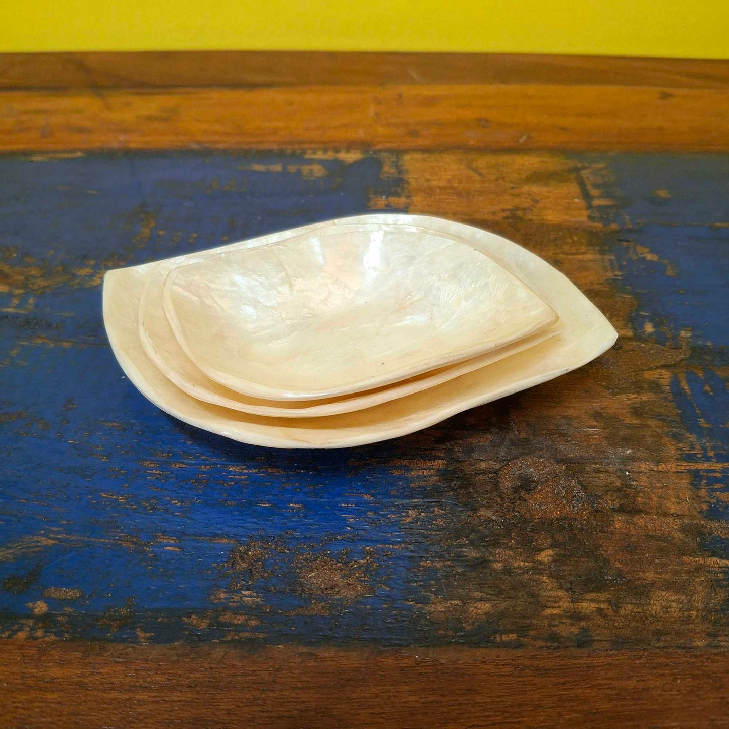 Ensemble d'assiettes en feuilles de nacre pour apéritifs