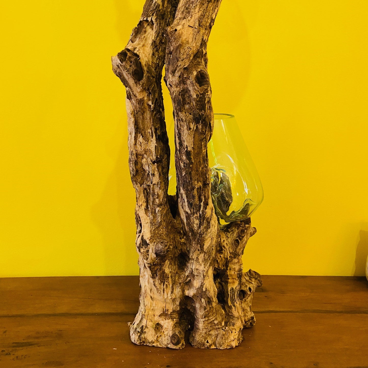 Ethnic vase blown glass on aquarium root