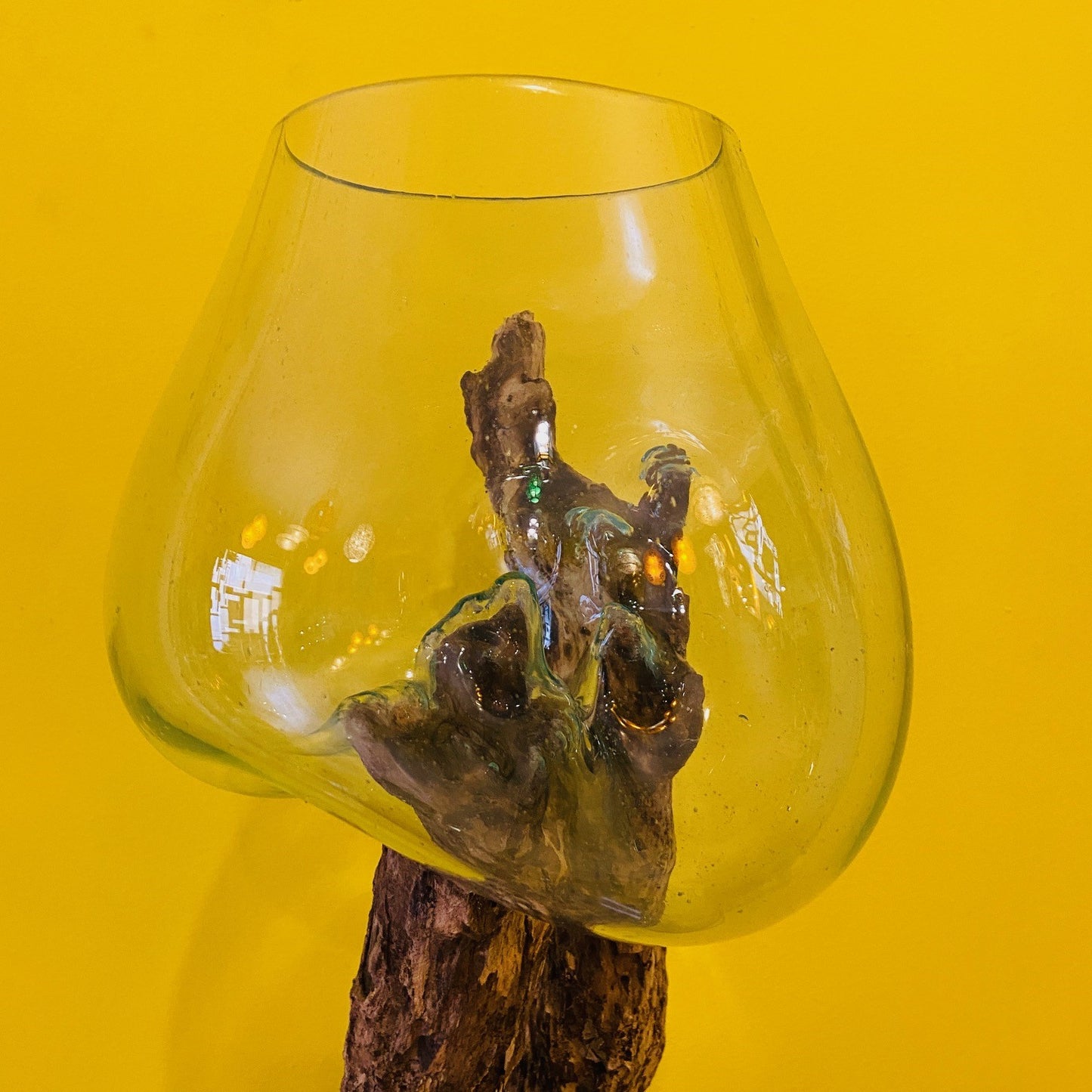 Ethnic vase blown glass on aquarium root