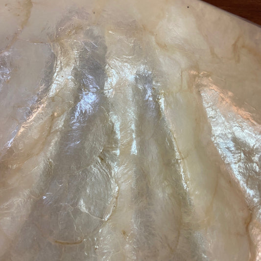 Vassoio conchiglia in madre perla centro tavola