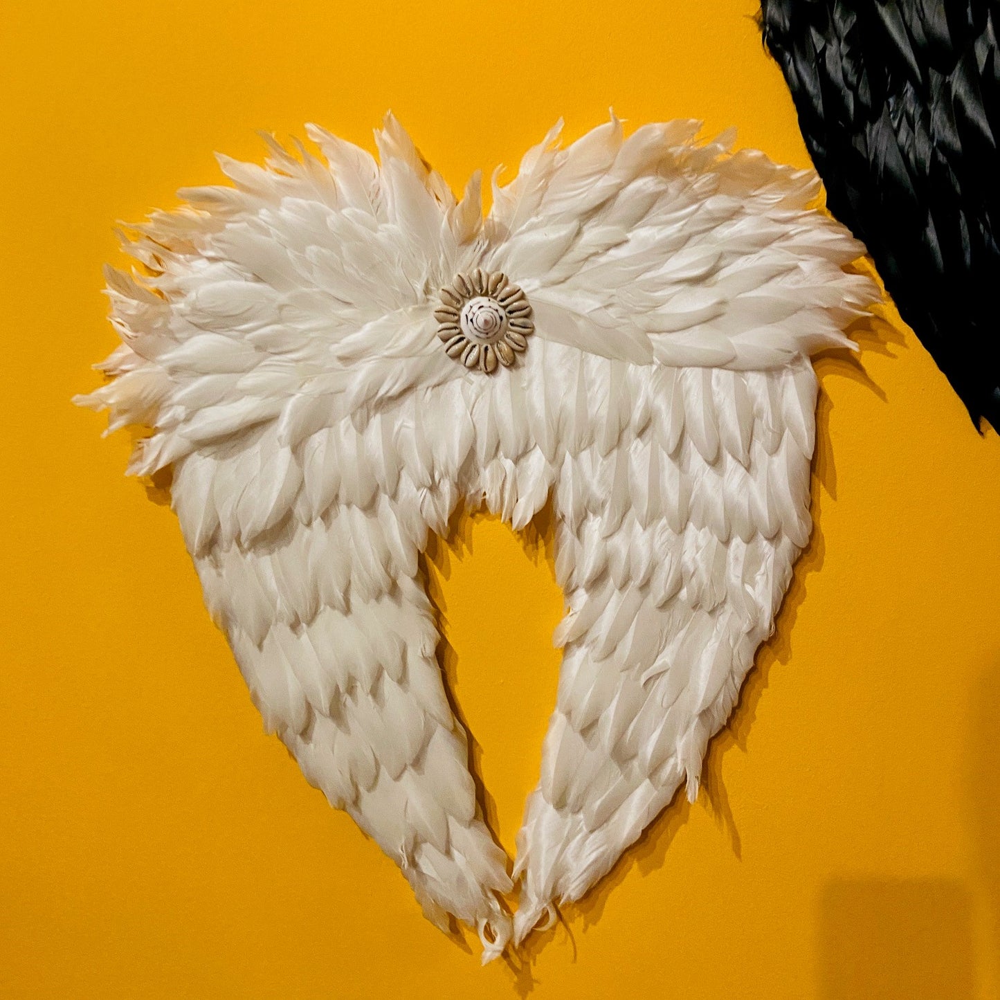 Décorations d'ailes d'ange ou de démon Coquillages Plumes