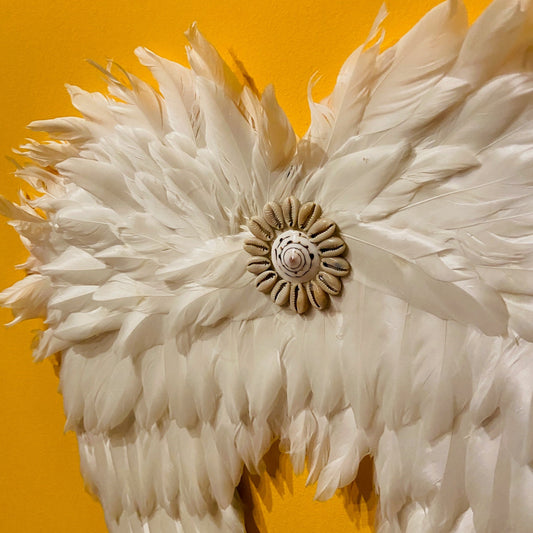 Ali angelo o demone decorazioni piume conchiglie