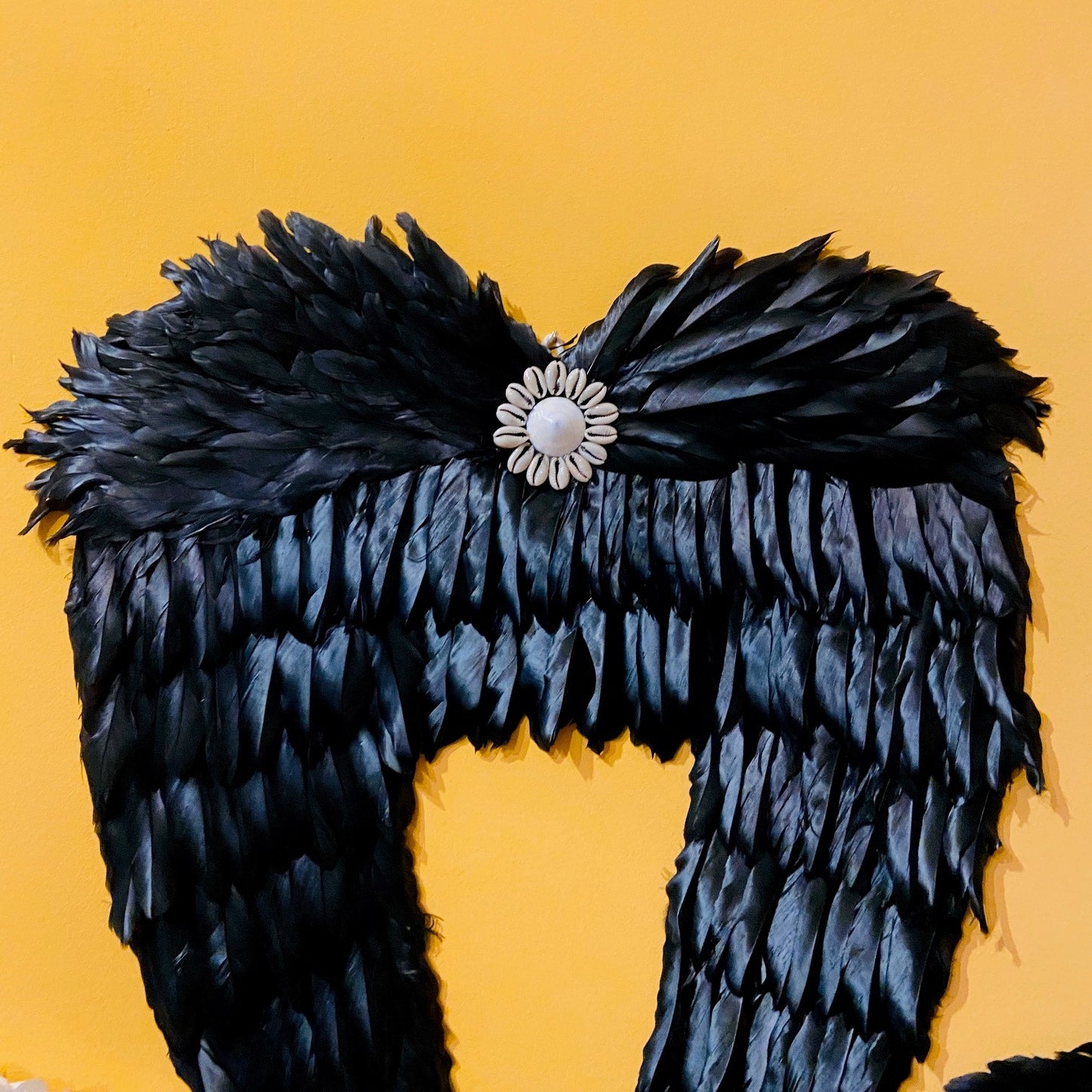 Ailes de démon ou d'ange, plumes, coquillages, décorations