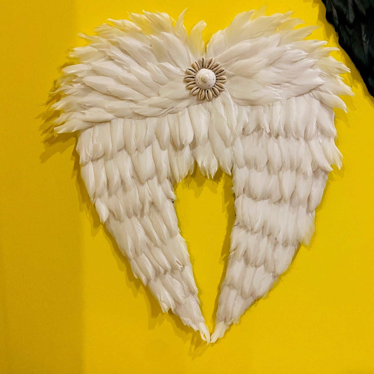 Décorations d'ailes d'ange ou de démon Coquillages Plumes