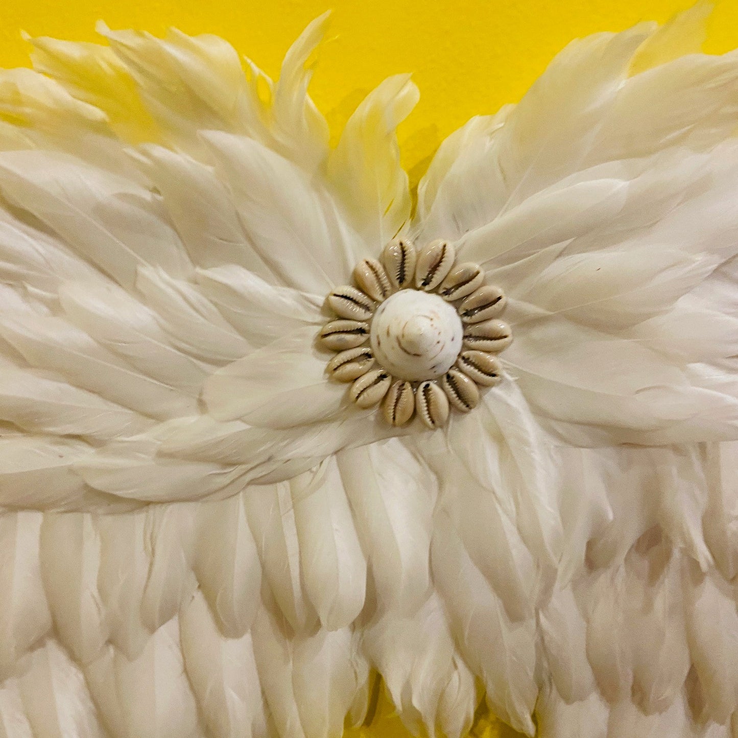 Décorations d'ailes d'ange ou de démon Coquillages Plumes