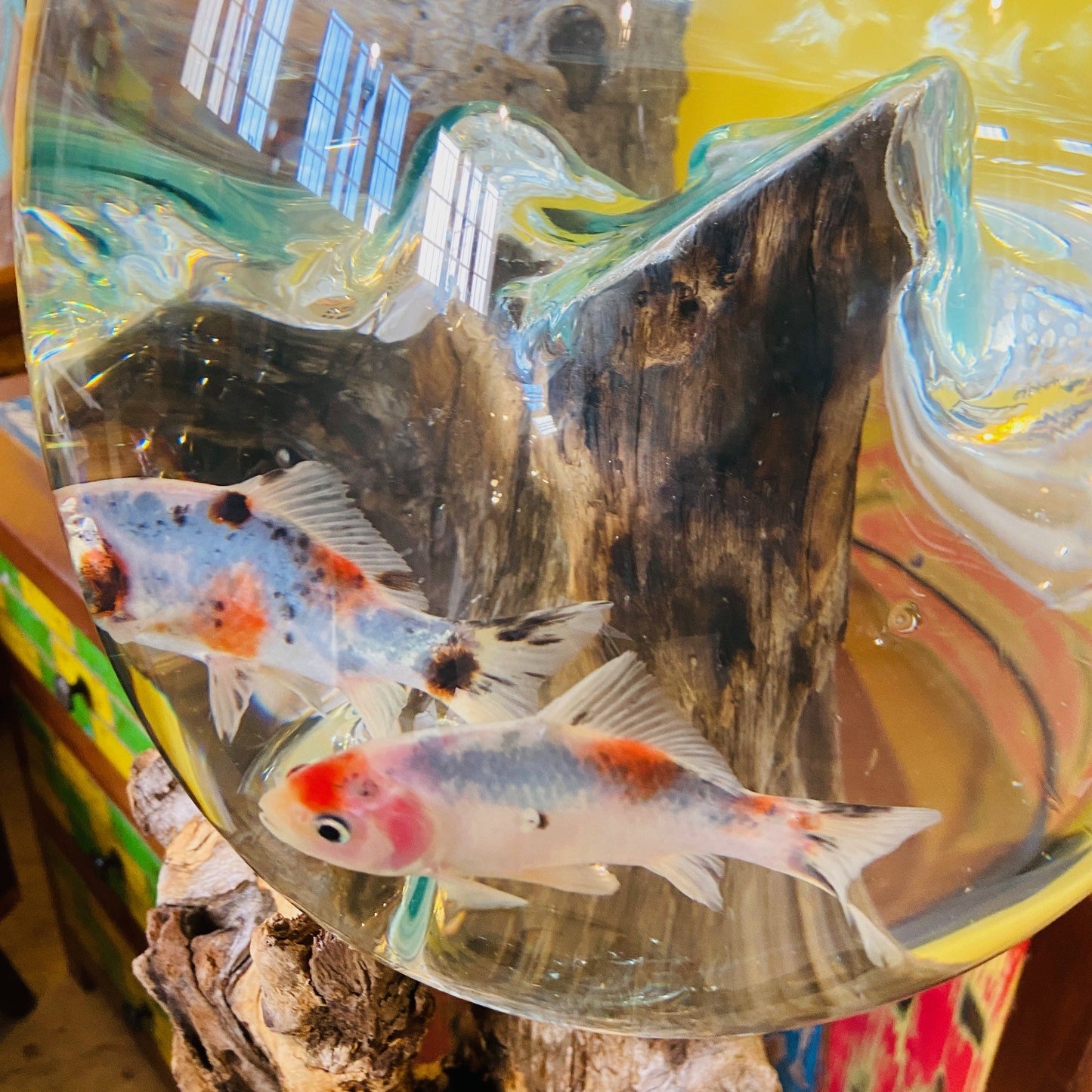 Ethnic Vase Blown Glass Root Aquarium Rustic