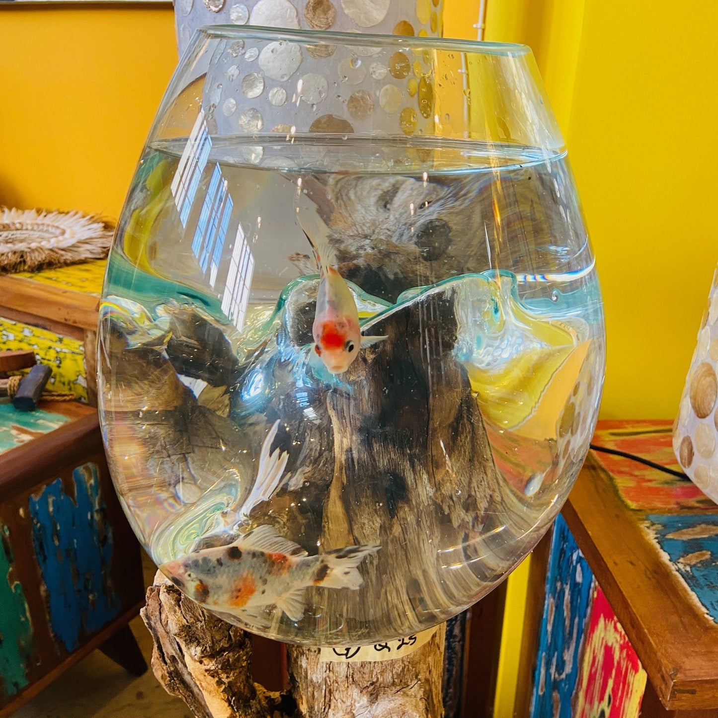 Ethnic Vase Blown Glass Root Aquarium Rustic