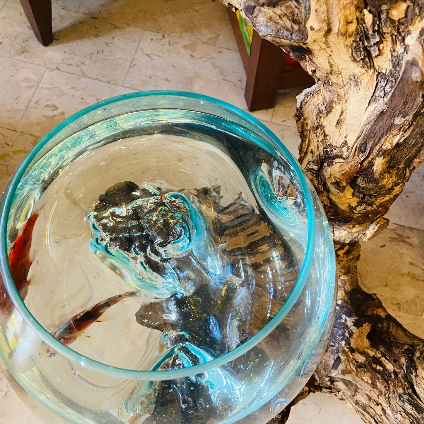 Ethnic Vase Blown Glass Root Aquarium Rustic