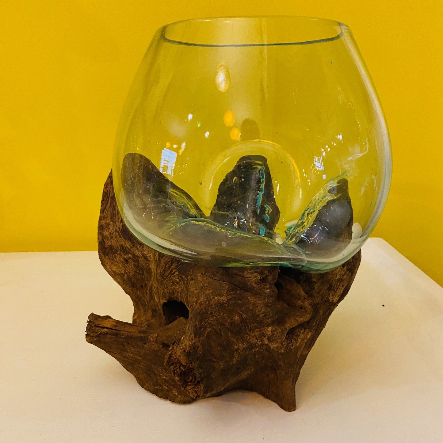 Orchid Vase Glass Root Ampoule Aquarium