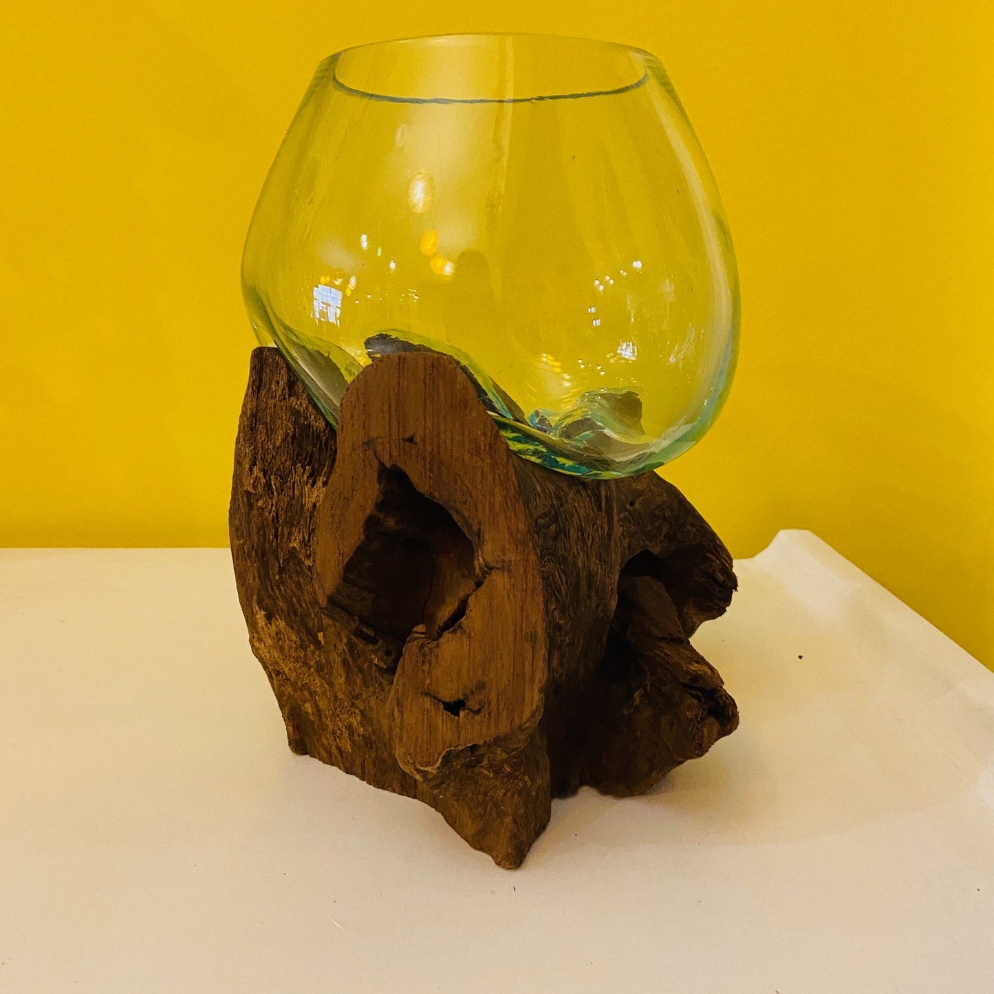 Orchid Vase Glass Root Ampoule Aquarium