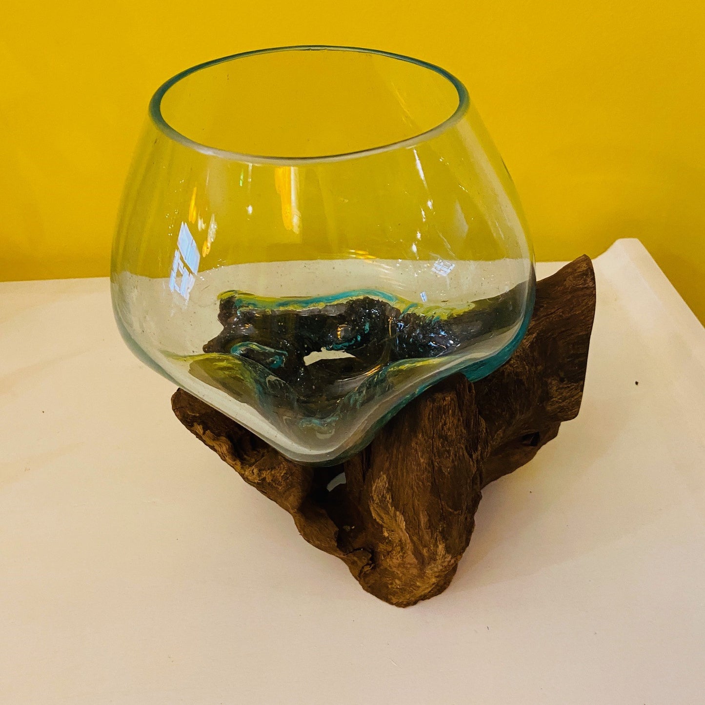 Orchid Vase Glass Root Ampoule Aquarium