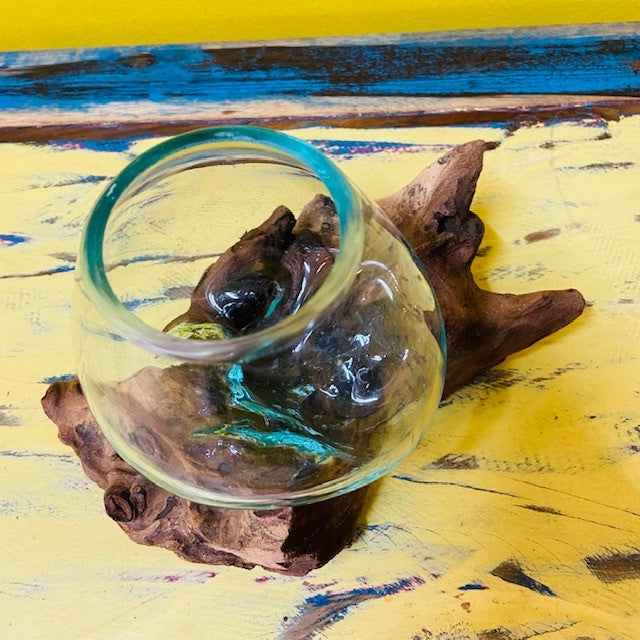Vase ethnique en verre fusionné sur racine d'orchidée