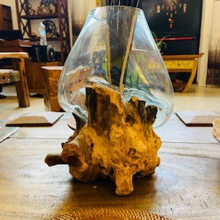 Vase en verre fusionné sur ampoule d'aquarium racine