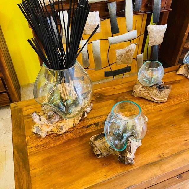 Vase en verre fusionné sur ampoule d'aquarium racine