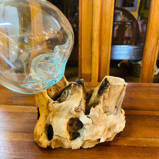 Vaso per orchidea vetro su radice di mangrovia - ETNICBAY
