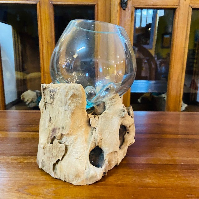 Vaso per orchidea vetro su radice di mangrovia - ETNICBAY