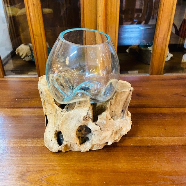 Vaso per orchidea vetro su radice di mangrovia - ETNICBAY