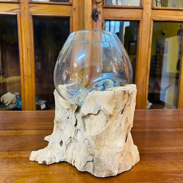 Vaso per orchidea vetro su radice di mangrovia - ETNICBAY