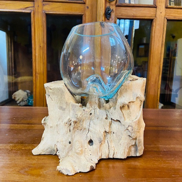 Vaso per orchidea vetro su radice di mangrovia - ETNICBAY