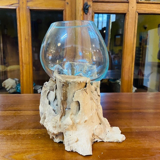 Vaso per orchidea vetro su radice di mangrovia - ETNICBAY