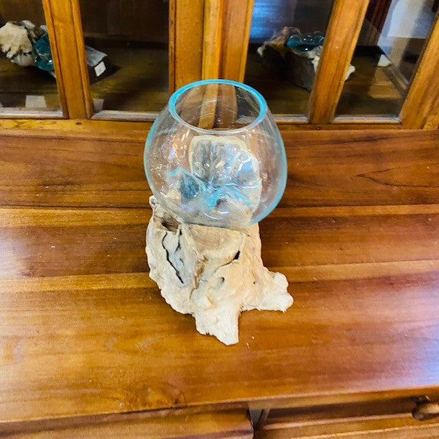 Vaso per orchidea vetro su radice di mangrovia - ETNICBAY