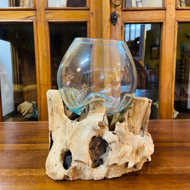 Vaso per orchidea vetro su radice di mangrovia - ETNICBAY