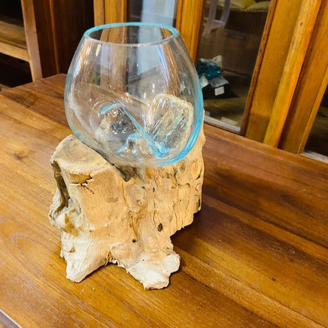 Vaso per orchidea vetro su radice di mangrovia - ETNICBAY