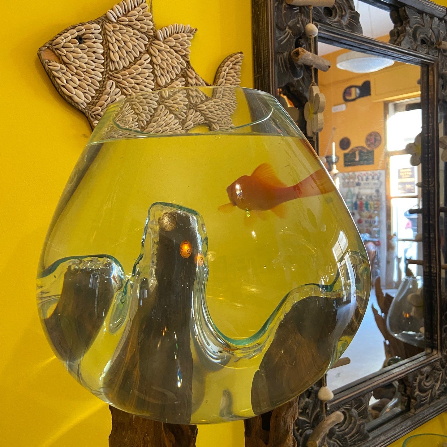Ethnic vase, aquarium, root and glass