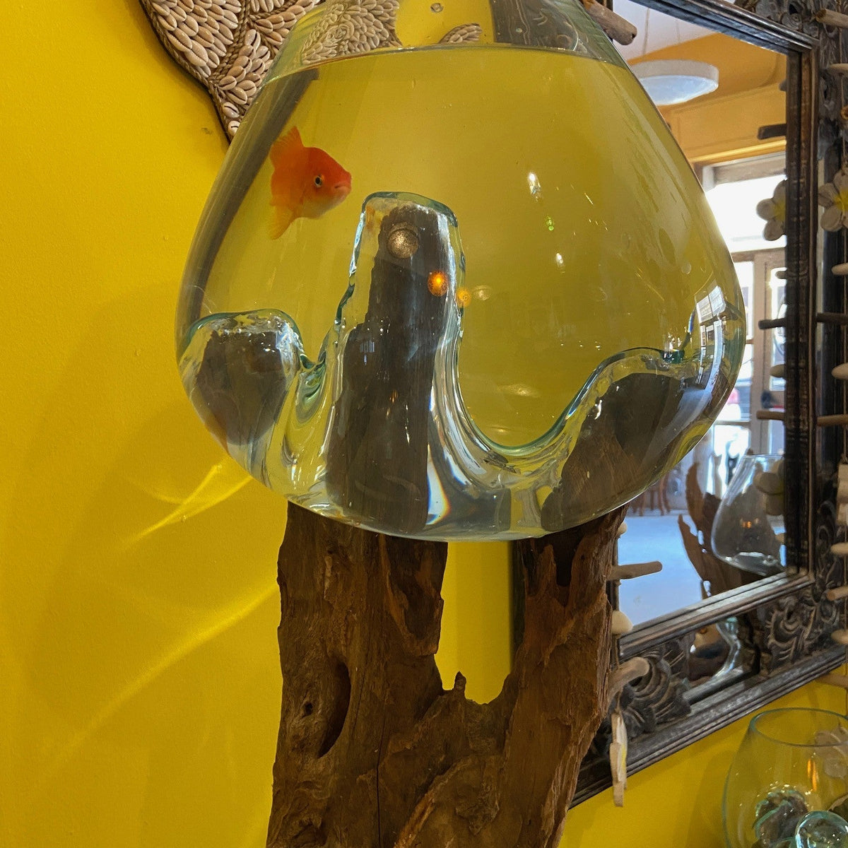 Acquario radice e vetro arredamento etnico vaso - ETNICBAY