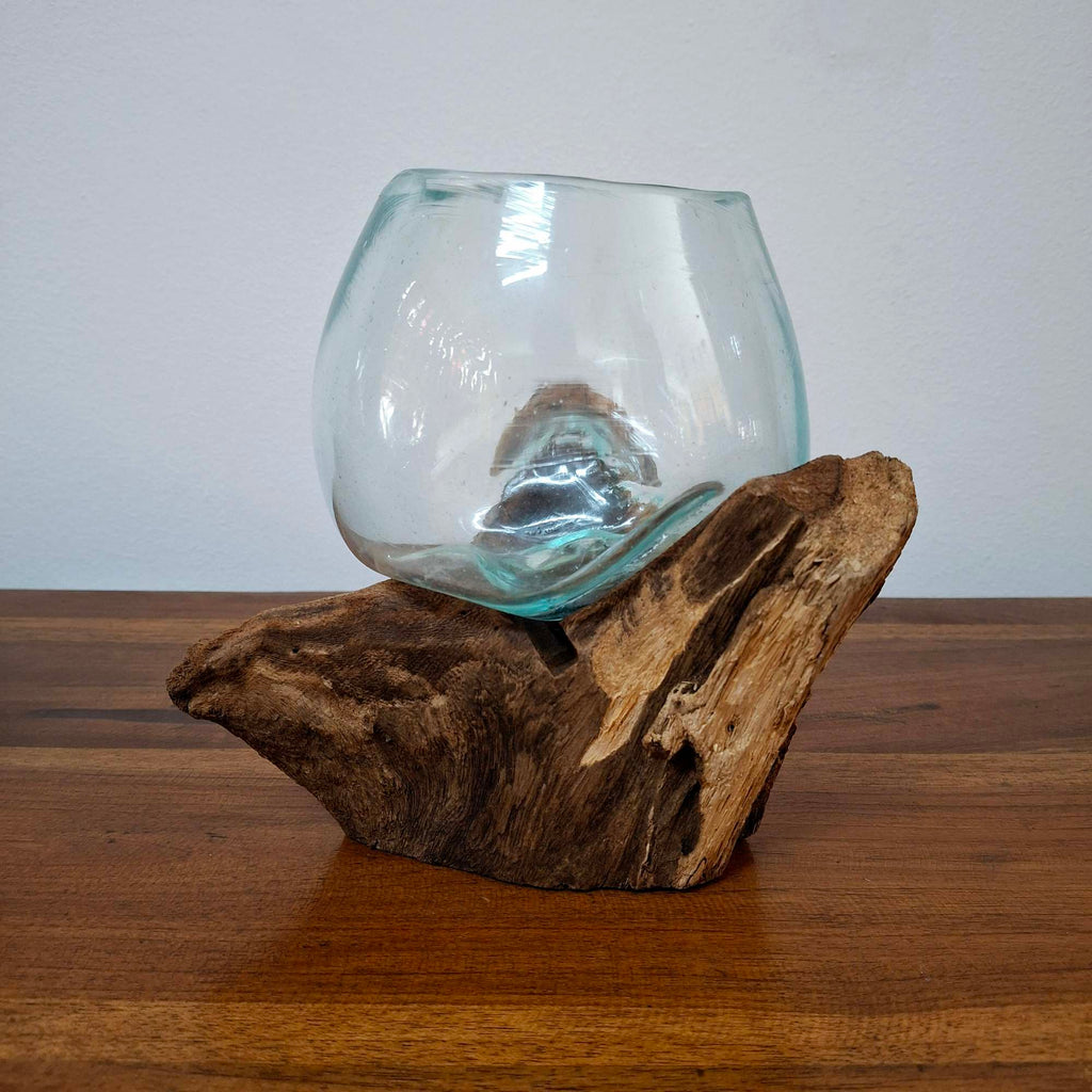Ampolla su radice di mangrovia vaso in vetro
