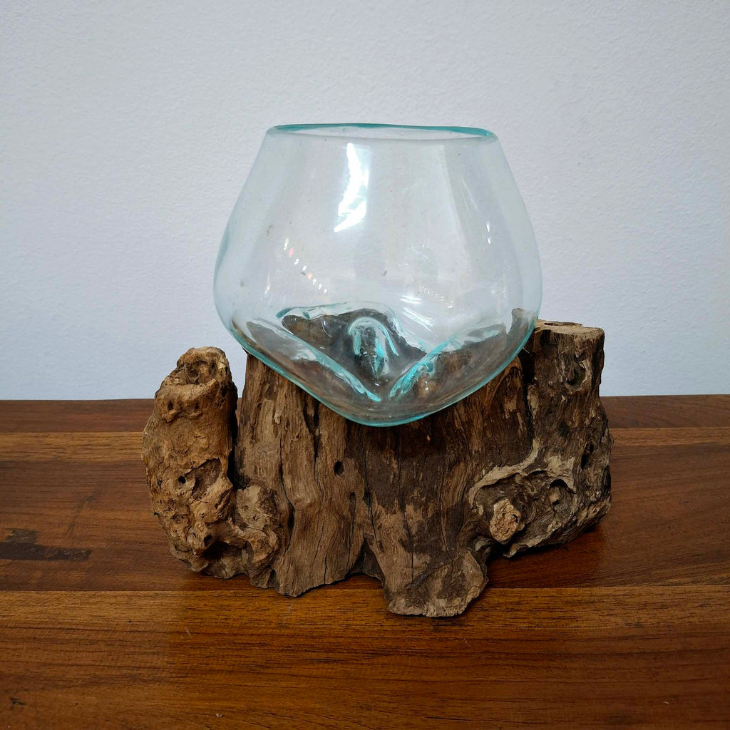 Ampolla su radice di mangrovia vaso in vetro