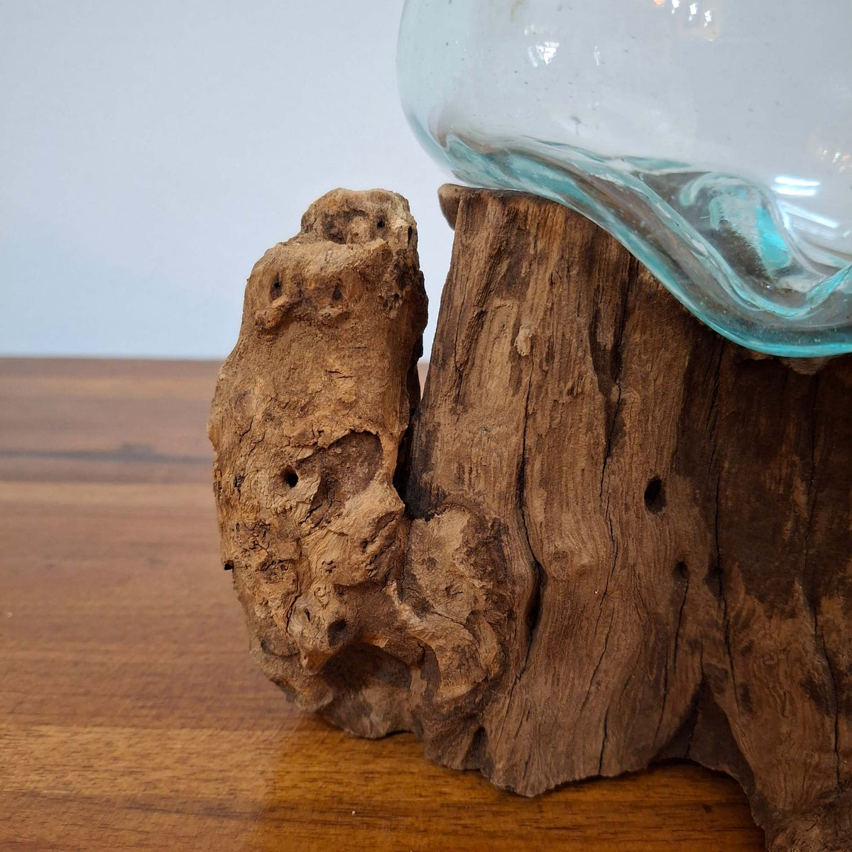 Ampolla su radice di mangrovia vaso in vetro