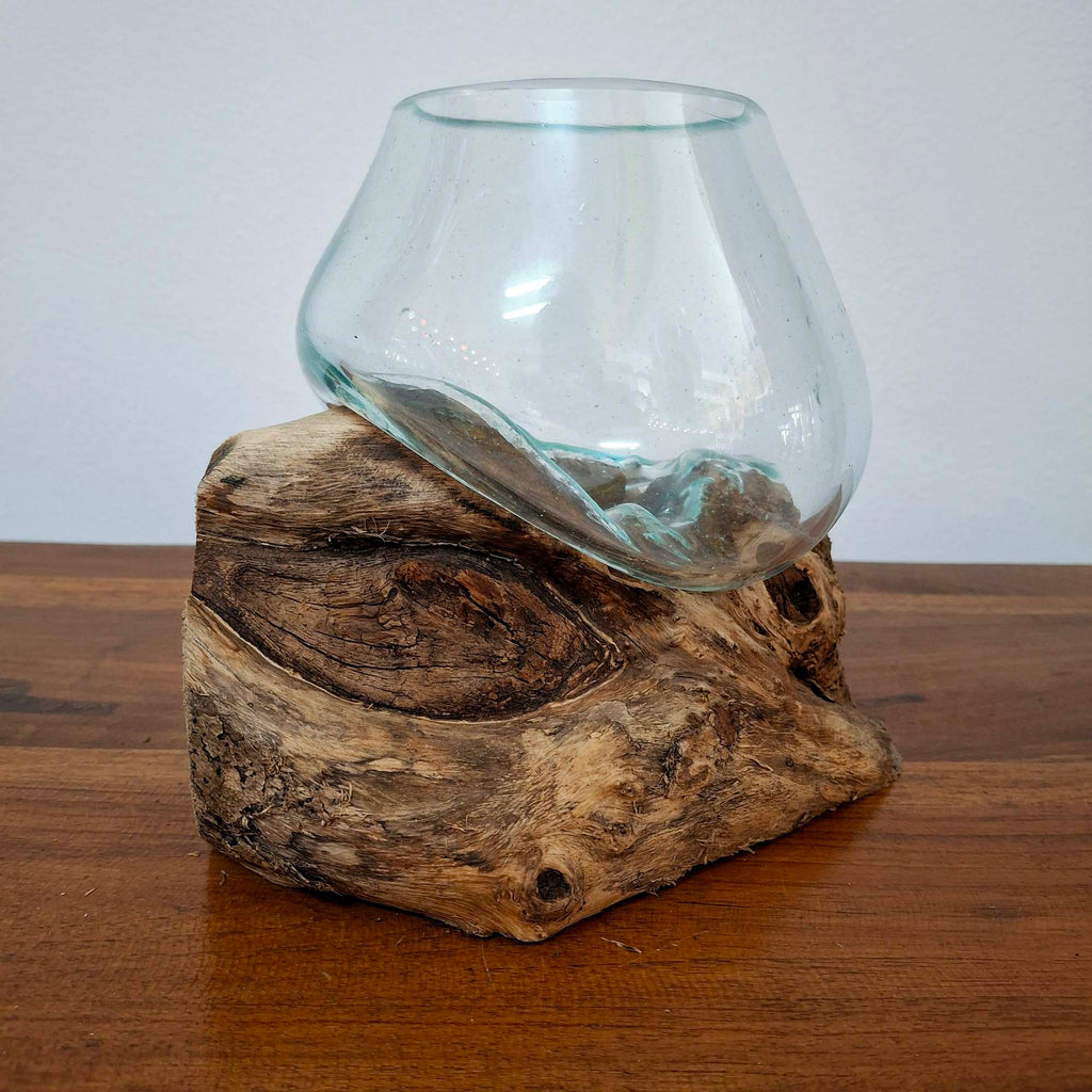 Ampolla su radice di mangrovia vaso in vetro