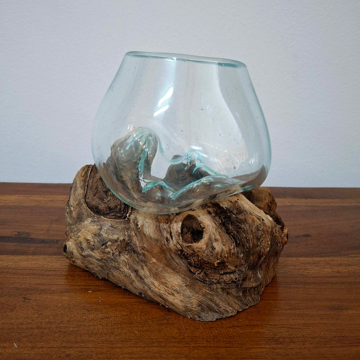 Ampolla su radice di mangrovia vaso in vetro