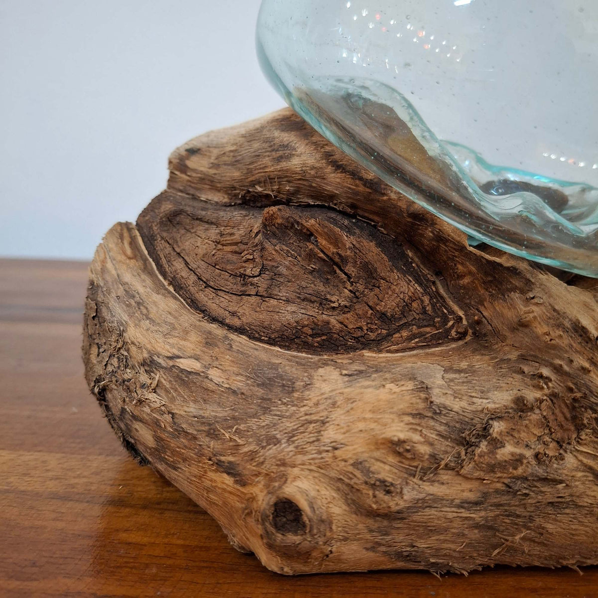 Ampolla su radice di mangrovia vaso in vetro