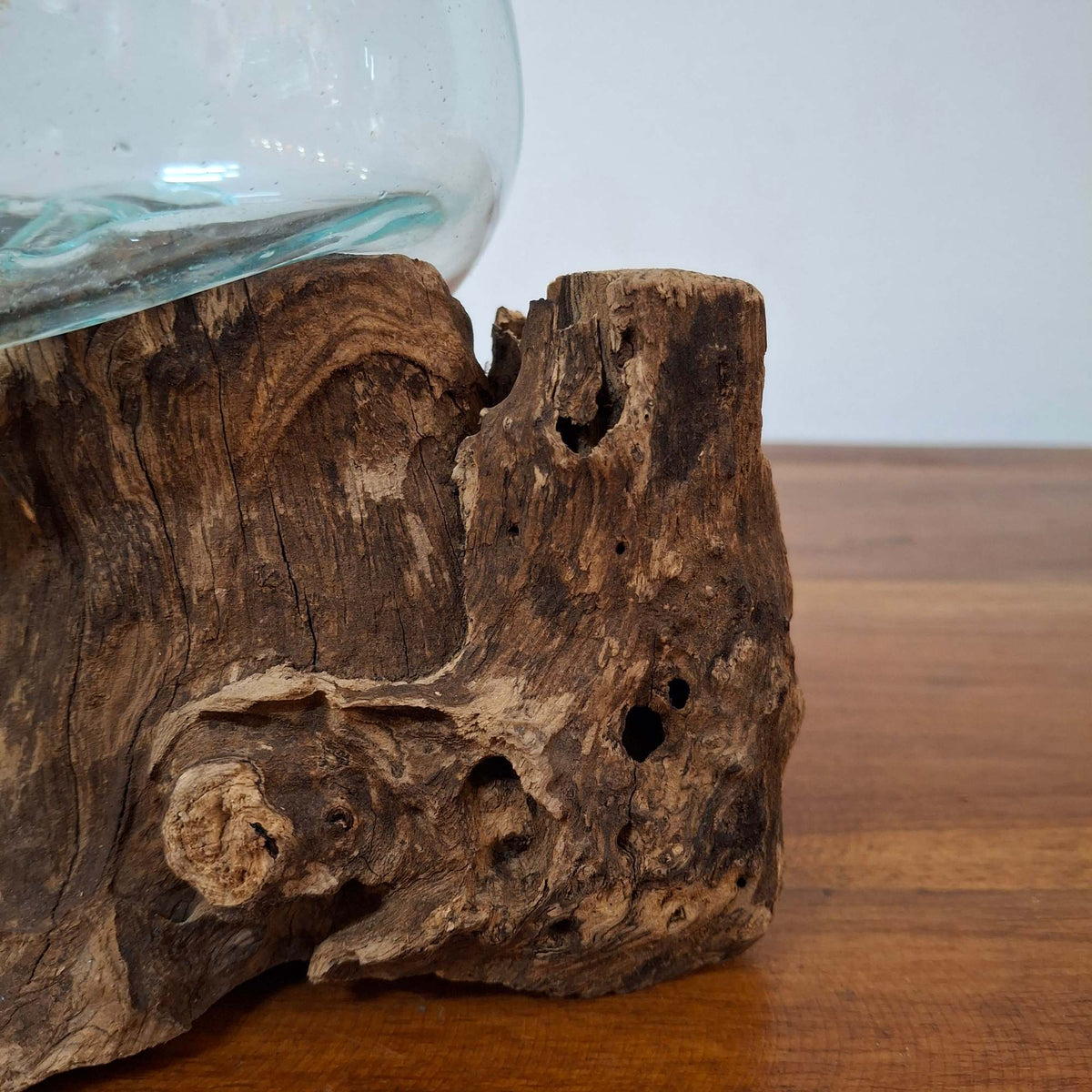 Ampolla su radice di mangrovia vaso in vetro