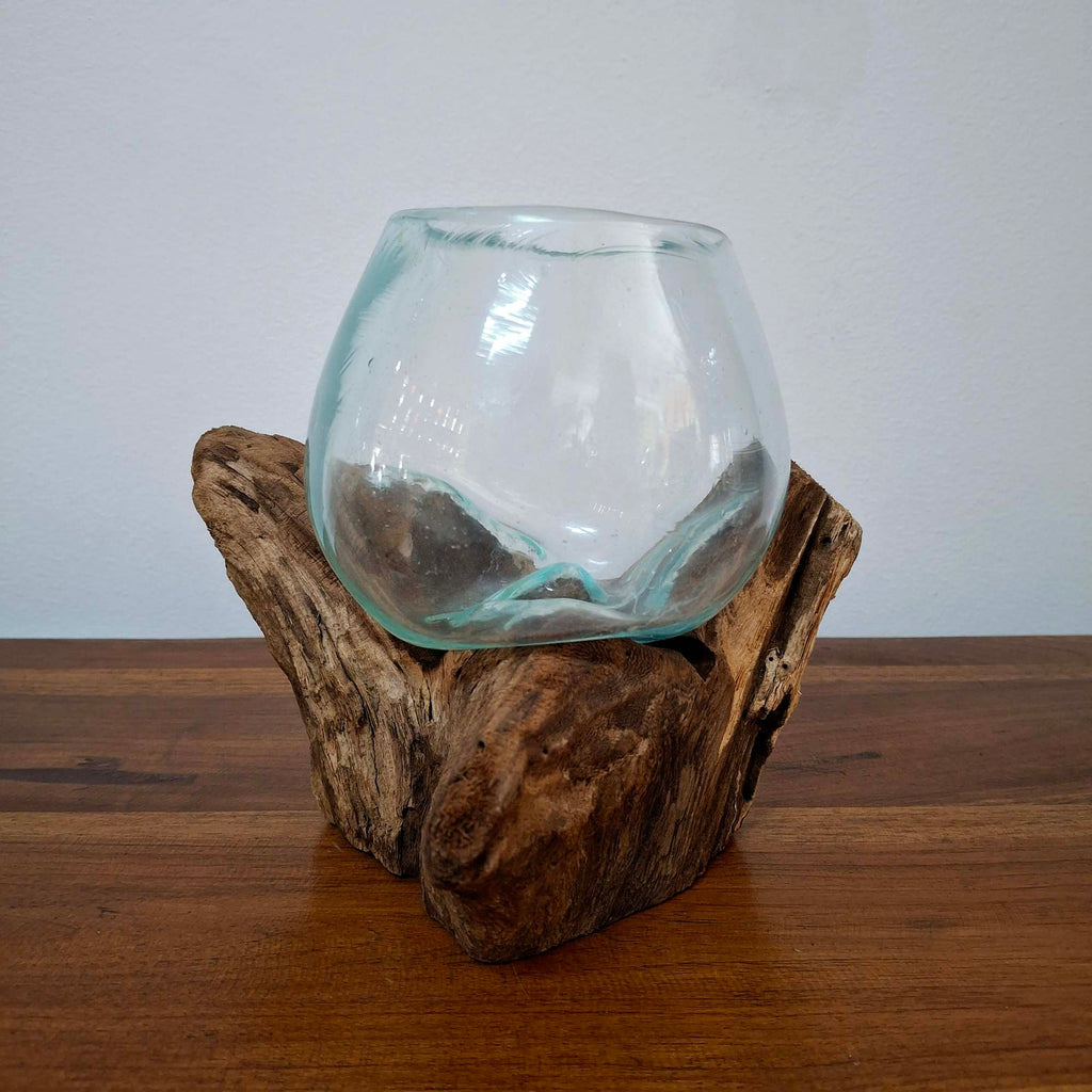 Ampolla su radice di mangrovia vaso in vetro