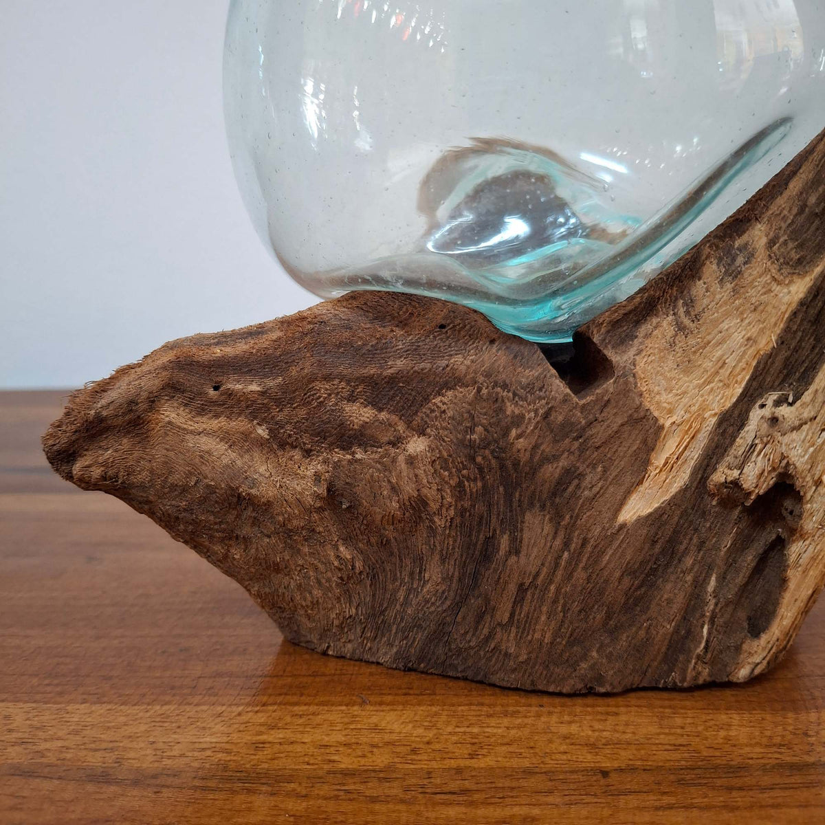 Ampolla su radice di mangrovia vaso in vetro