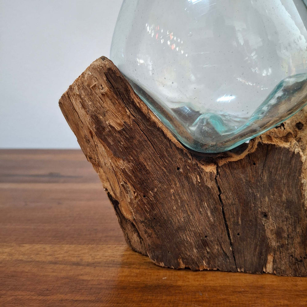 Ampolla su radice di mangrovia vaso in vetro
