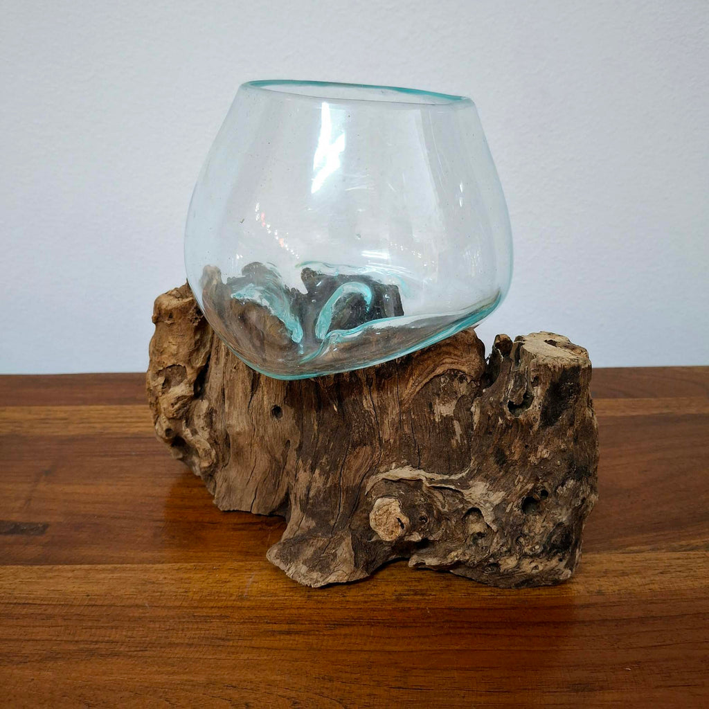 Ampolla su radice di mangrovia vaso in vetro