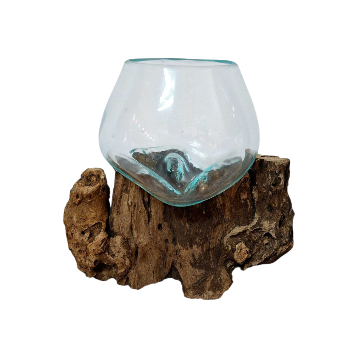 Ampolla su radice di mangrovia vaso in vetro