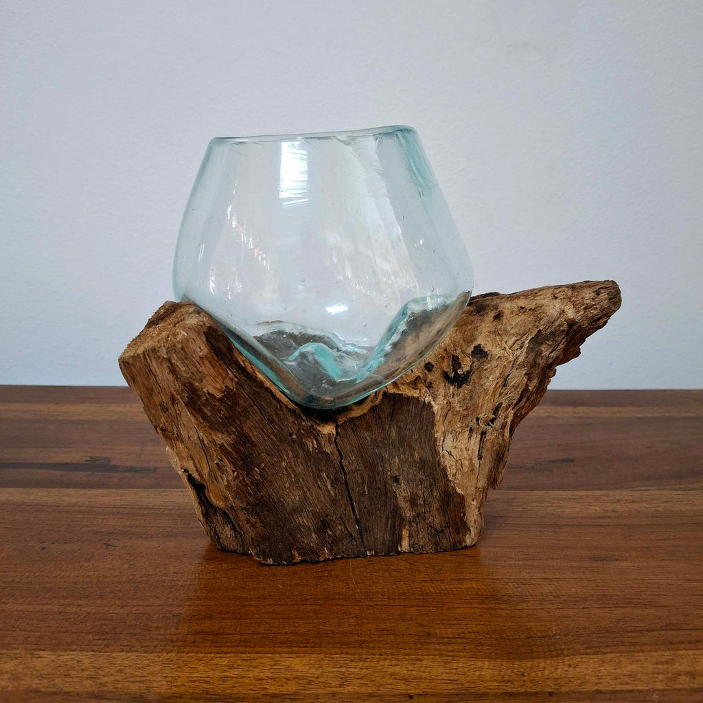 Ampolla su radice di mangrovia vaso in vetro