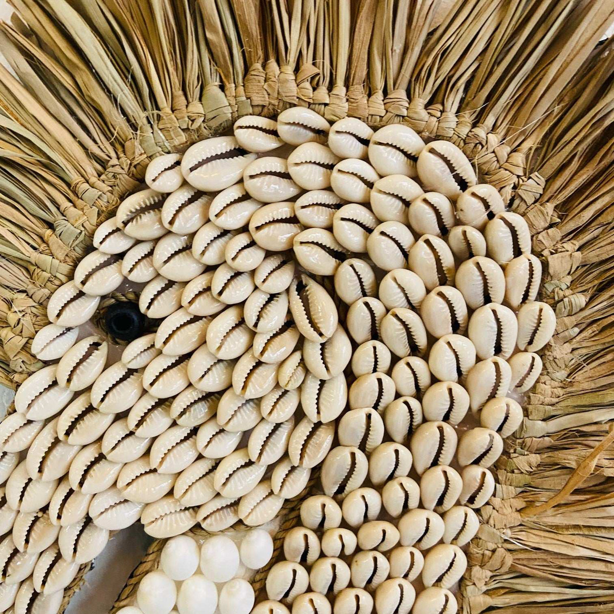 Decorazione cavalluccio marino e conchiglie mare - ETNICBAY